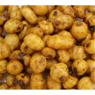 Tigernuts JUMBO en sac de 10 Kg